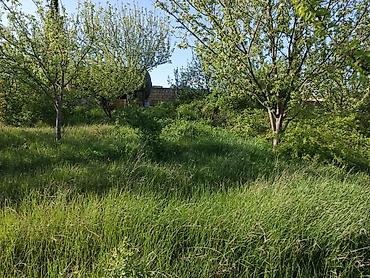 Torpaq sahələrinin satışı: 30 sot, Tikinti, Mülkiyyətçi, Kupça (Çıxarış) — 13