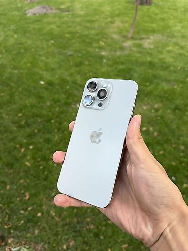 10 pro max: IPhone 15 Pro Max, Б/у, 256 ГБ, Natural Titanium, 79 % — 3