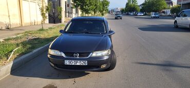 Opel: Opel Vectra: 1.8 l | 1998 il 315000 km Sedan — 8