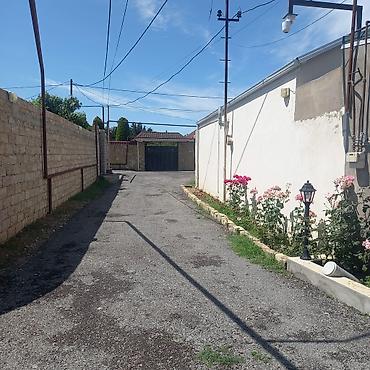 100 sot, Tikinti, Mülkiyyətçi, Kupça (Çıxarış)
