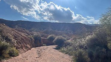 Такси: Минивэн, Пункт назначения: Каракол, Количество мест: 6 — 31