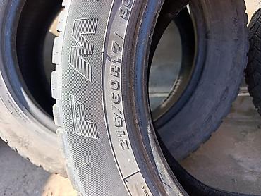 Зимние шины Forsa (F) 215/60 R17 96H, безкамерные (Tubeless)