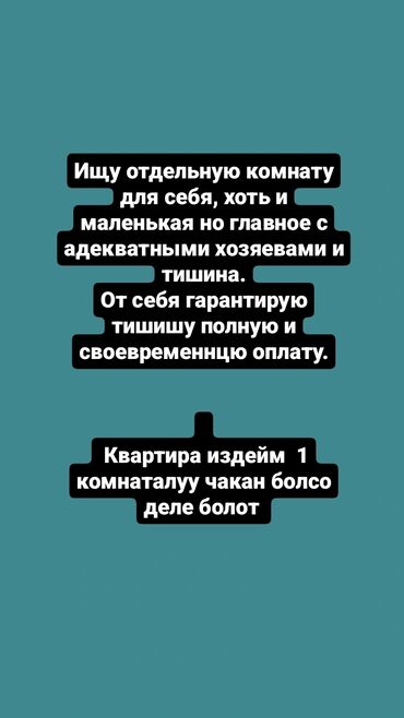 я ищу квартиру в бишкеке: 1 комната, 20 м², Без мебели