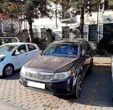 Subaru: Subaru Forester: 2009 г., 2.5 л, Механика, Бензин, Кроссовер — 2