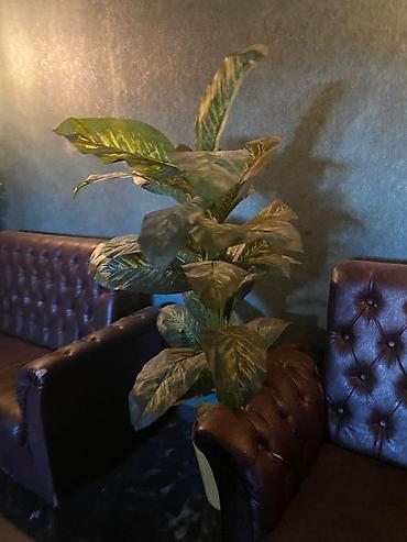 Прямые диваны: Прямой диван — 14