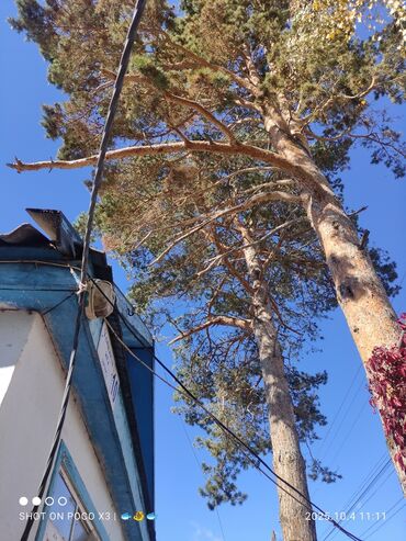 Продажа домов: Дом, 80 м², 8 комнат, Собственник, Старый ремонт at lalafo.kg — 6 Продажа домов: Дом, 80 м², 8 комнат, Собственник, Старый ремонт — 6