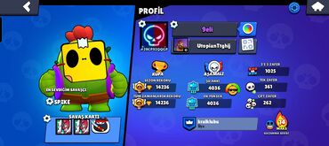 pubg mobile hesabı satma: Brawl Stars hesabım satılır. Hesabda bir çox xarakter və dərilər
