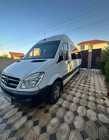 w210 e320: Пункт назначения: Все направления, Количество мест: 18 — 2