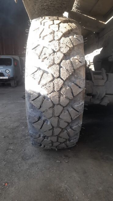 Шины: Продаются колёса на ЗИЛ -131, Урал,Газ66,Экскаватор, Т-150 at lalafo.kg — 11 Шины: Продаются колёса на ЗИЛ -131, Урал,Газ66,Экскаватор, Т-150 — 11