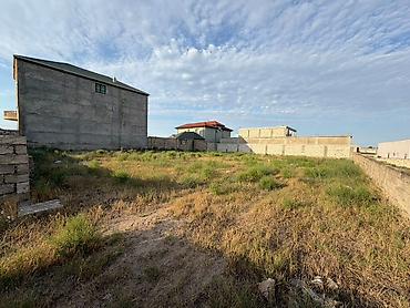 Torpaq: 5 sot, Mülkiyyətçi, Kupça (Çıxarış) — 7