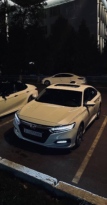 купить машину хонда аккорд: Honda Accord: 2019 г., 1.5 л, Автомат, Бензин, Седан — 2