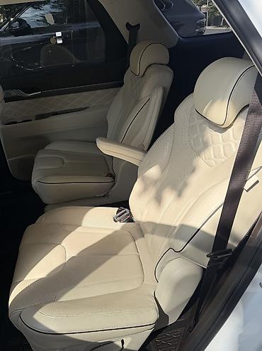 толка оптом: Hyundai Palisade: 2021 г., 2.2 л, Автомат, Дизель — 8