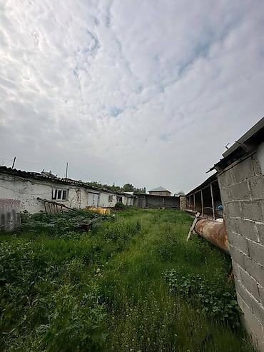 Продажа помещений свободного назначения: 🔥 Фуркат–Мады аймагында инвестициялык мүмкүнчүлүк! 🎥 Видео — 14