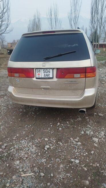 машина субари: Honda Odyssey: 1999 г., 3.5 л, Автомат, Газ, Минивэн