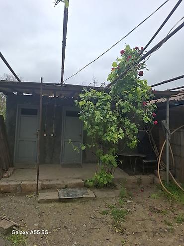 bina az seki: 2 otaqlı, 24 kv. m, Kredit yoxdur, Təmirsiz — 2