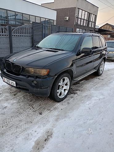 BMW: BMW X5: 2002 г., 3 л, Автомат, Дизель, Внедорожник — 4
