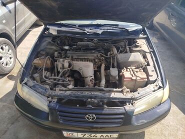 тайото камири: Toyota Camry: 1998 г., 2 л, Типтроник, Газ, Седан