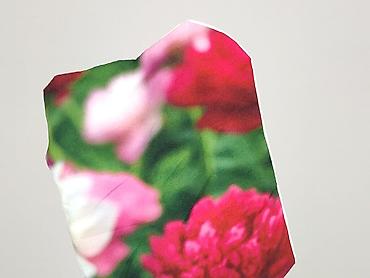 dlugopis: Poszewka dekoracyjna na poduszkę z nadrukiem piwonii - Wzór — 5