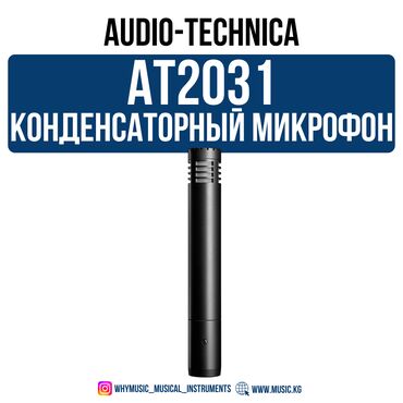 акустические системы 5.1 с микрофоном: Конденсаторный микрофон Audio-Technica AT2031 Audio-Technica AT2031 —