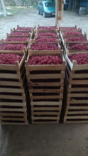 Малина: Малина Платная доставка — 14