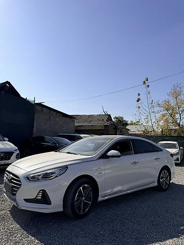 соната нюрайс гибрид: Hyundai Sonata: 2020 г., 2 л, Автомат, Гибрид, Седан — 3