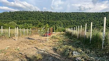 şəkidə torpaq: 13 sot, Biznes üçün, Makler, Kupça (Çıxarış) — 3