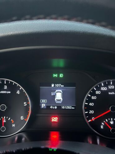 Kia: Kia Sportage: 2019 г., 2 л, Автомат, Дизель, Кроссовер — 9