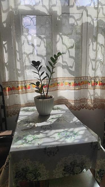 xirdalanda ev: Təcili şəhərin ən prestijli yerində, elmlər akademiyası metrosunun — 9