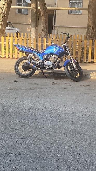 zigzag one 50cc blue: Mavi rəngli küçə tipli motosiklet - Rəng: parlaq mavi - Gövdə tipi — 2