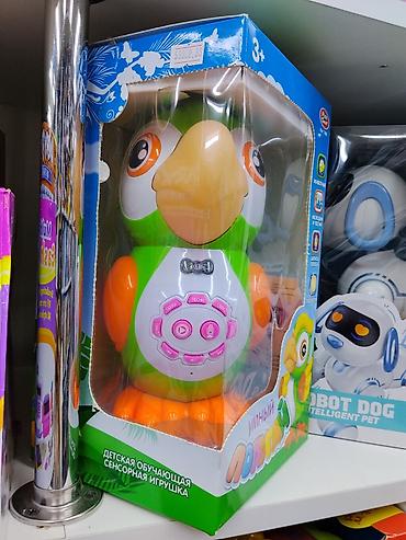Игрушки: Умный попугай Play Smart (арт. 7496) — детская обучающая сенсорная — 2