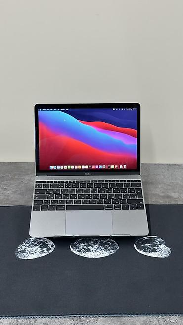 Ноутбуки Apple (MacBook): Apple MacBook 12" (серебристый) - Ультратонкий и лёгкий ноутбук с — 2