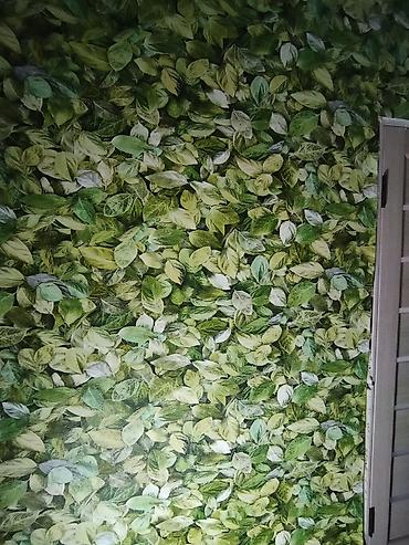 Ремонт под ключ: Ремонт под ключ | Квартиры Больше 6 лет опыта — 31