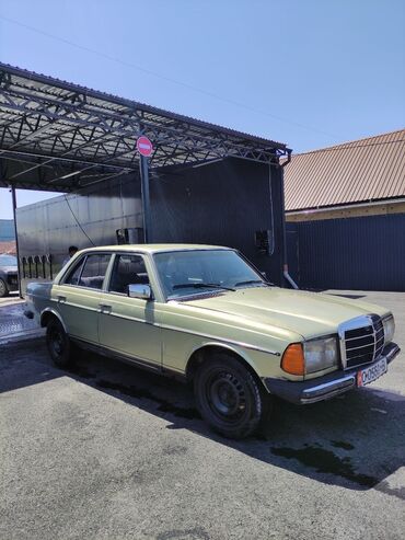 мерсадес: Mercedes-Benz W123: 1983 г., 2.3 л, Механика, Дизель, Седан