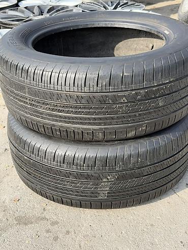 skoda fabia: Nexen yay-yol şinləri – 2 ədəd - Ölçü: 225/55 R17 - Yük/sürət indeksi — 1