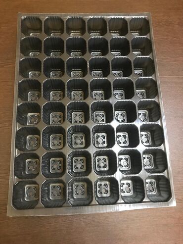 Toxumlar: Buşitil qabi
104şitilqAbi
torf250lulitrlik
torf ekolay
torf balaken — 6