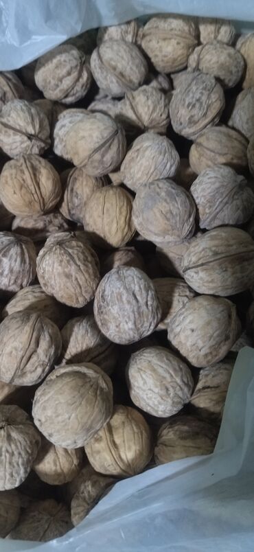 орехи саженцы: Продаю орехи,цена