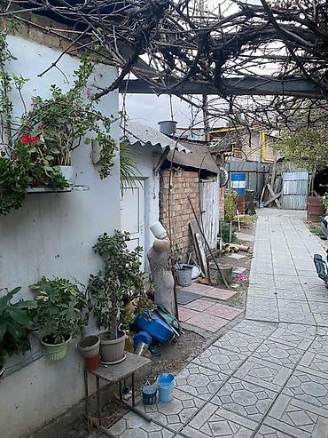 Продажа коттеджей и домов: Продается дом 7,7 соток 53 кв.м + времянка + гараж + баня Центральная — 12