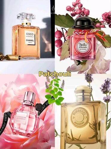 Ətriyyat: Qadın ətirlərinin seçməli kataloqu Brend çeşidləri: - Chanel Coco — 9