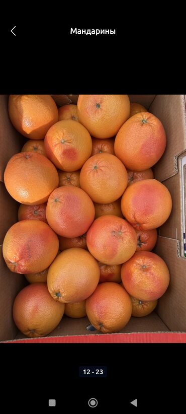 Мандарины: Мандарины Оптом — 9