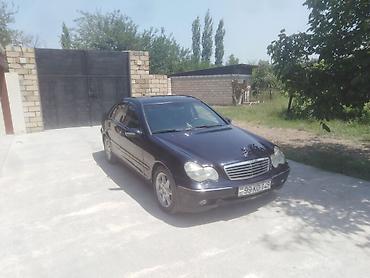 cls 63 amg: Deyerinen asagi qoymagimin sebebi vacib pula ehtiyacim olmagidi yoxsa — 2
