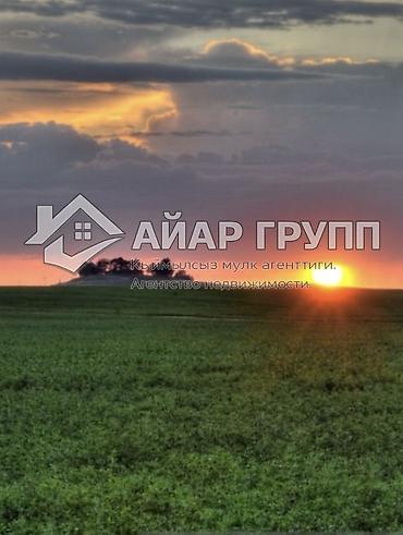 Жер тилкелери: 100 соток, Айыл чарба үчүн — 1