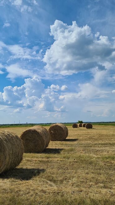 участки в горах: 3 соток Для бизнеса, Электричество