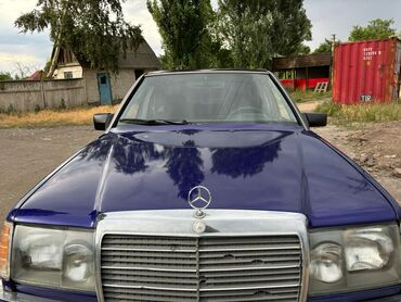 решетка на виндом: Mercedes-Benz W124: 1991 г., 2.3 л, Механика, Бензин, Седан