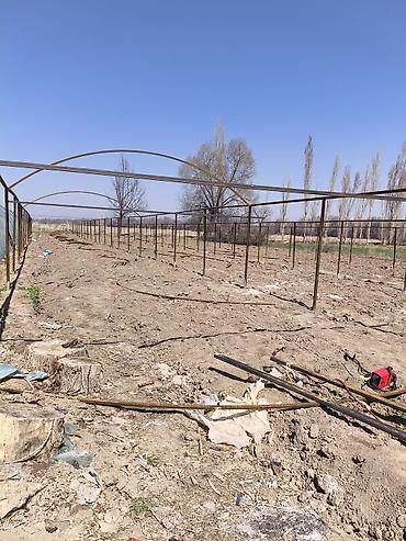 комната ак ордо: С готовой бизнес линиейсрочно, 3 фазка,погреб, скважинаплюс — 3