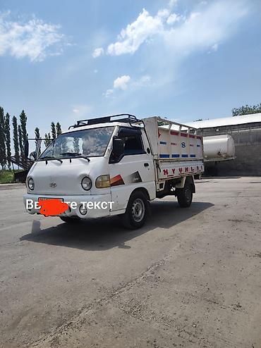 howo автодом: Hyundai : 2006 г., 2.5 л, Механика, Дизель — 3