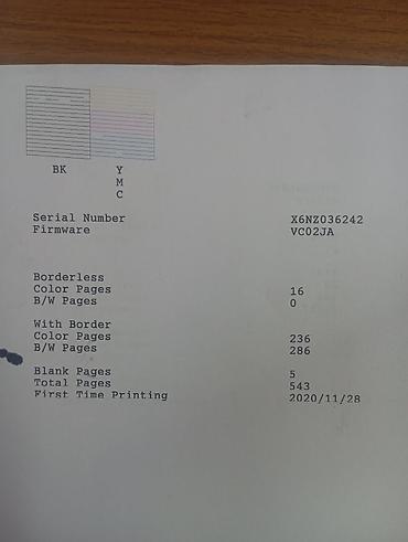Принтеры: Продаю цветной Эпсон 3100, Сканирования — 2