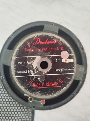 с усилителем: 12-дюймовый динамик Denlank (DongLang Electric Co. LTD)