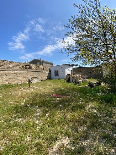 hövsanda: 4 sot, Tikinti, Kupça (Çıxarış) — 4