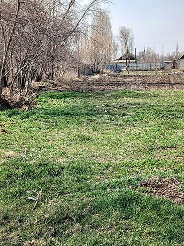 41 соток, Для бизнеса, Красная книга, Тех паспорт at lalafo.kg 41 соток, Для бизнеса, Красная книга, Тех паспорт