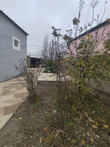 Həyət evləri və villaların satışı: Binəqədi qəs. 3 otaqlı, 100 kv. m, Kredit yoxdur, Yeni təmirli -da lalafo.az — 7 Həyət evləri və villaların satışı: Binəqədi qəs. 3 otaqlı, 100 kv. m, Kredit yoxdur, Yeni təmirli — 7